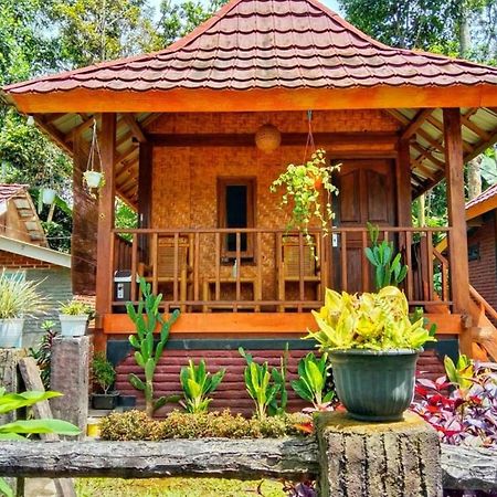 Pondok Rinjani Bungalow Tetebatu Exterior photo